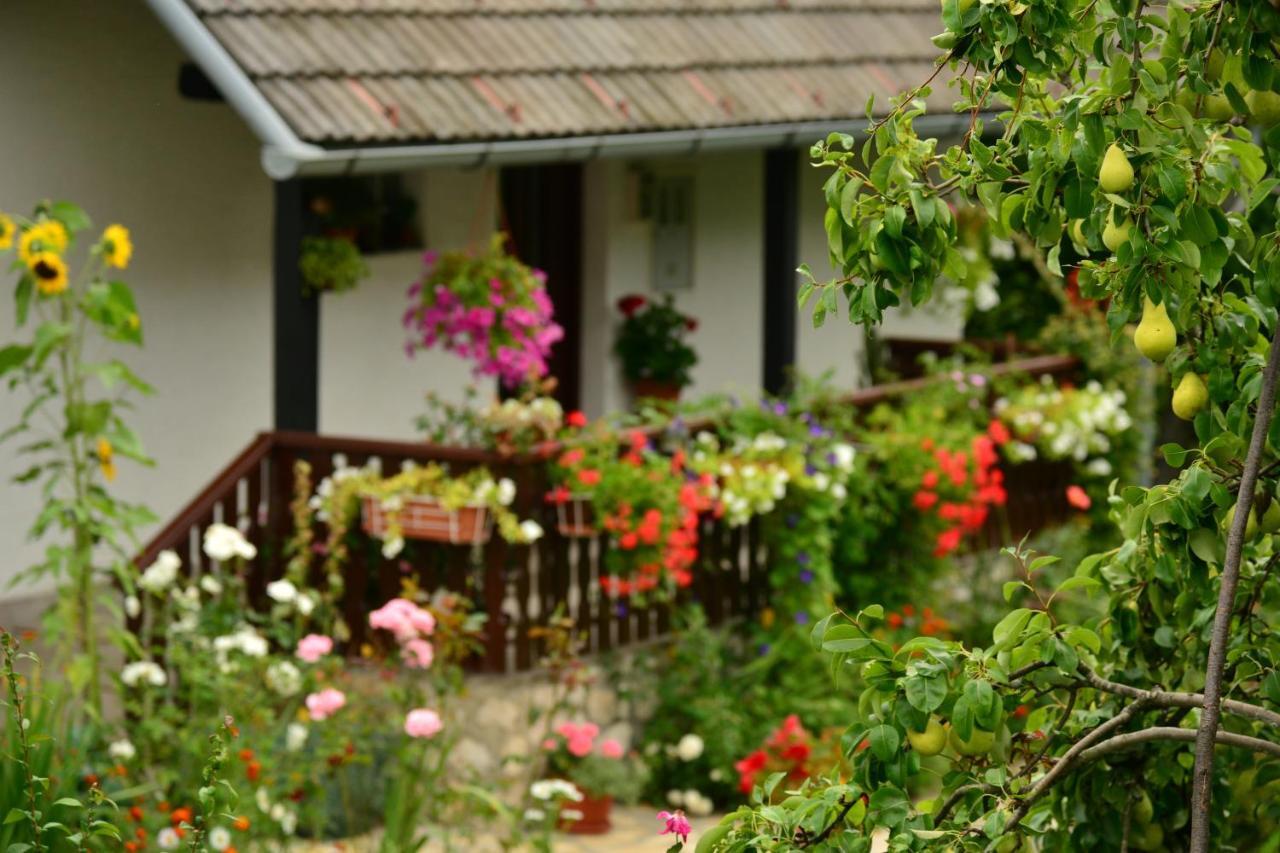 House Nina Apartment Полянак Екстериор снимка