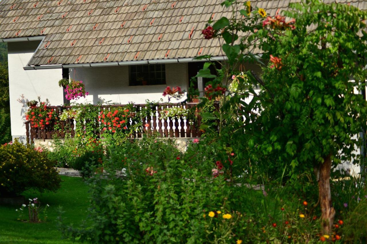 House Nina Apartment Полянак Екстериор снимка