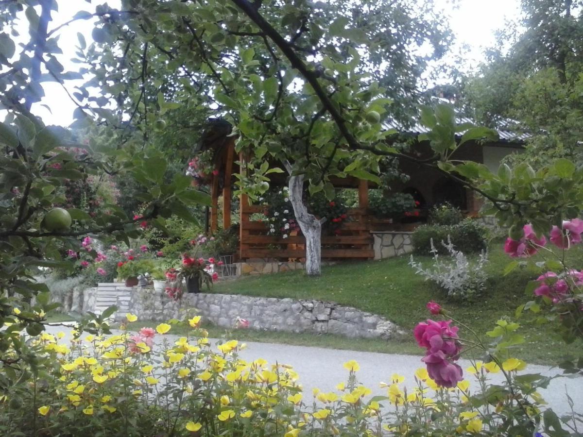 House Nina Apartment Полянак Екстериор снимка