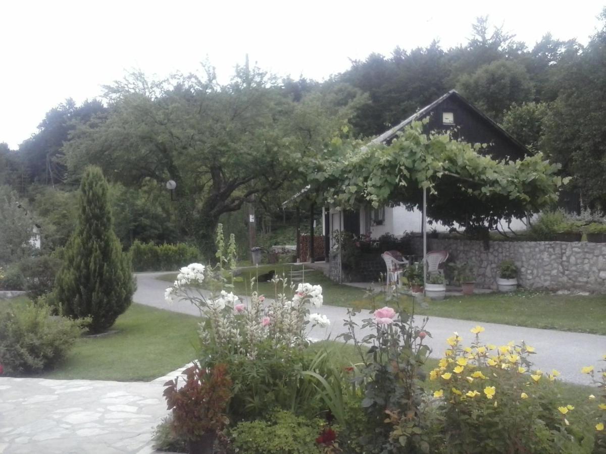 House Nina Apartment Полянак Екстериор снимка