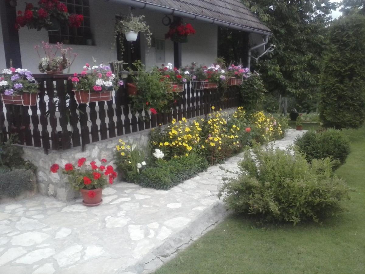 House Nina Apartment Полянак Екстериор снимка