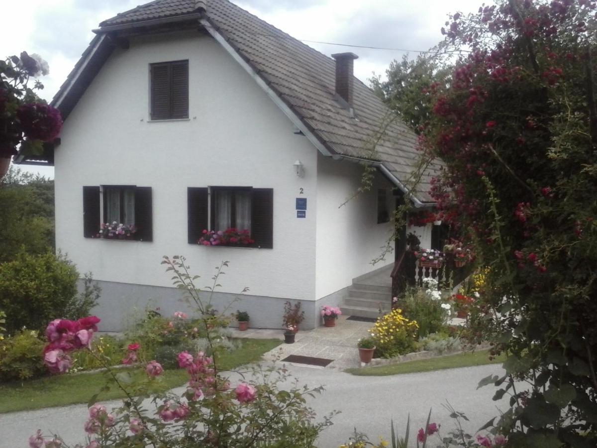 House Nina Apartment Полянак Екстериор снимка