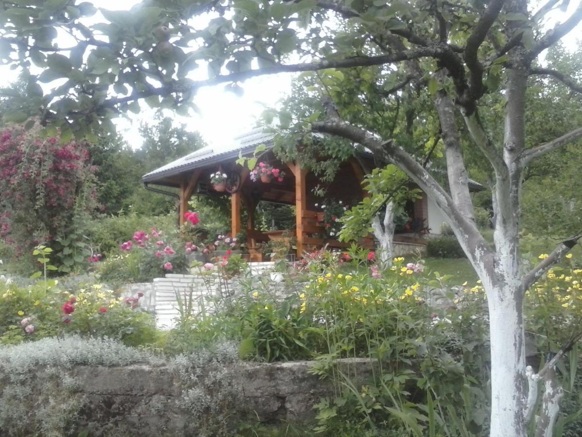 House Nina Apartment Полянак Екстериор снимка