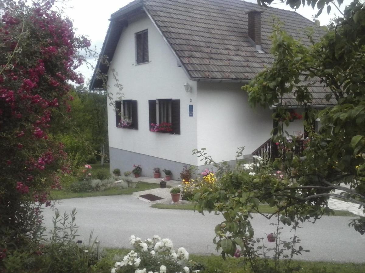 House Nina Apartment Полянак Екстериор снимка