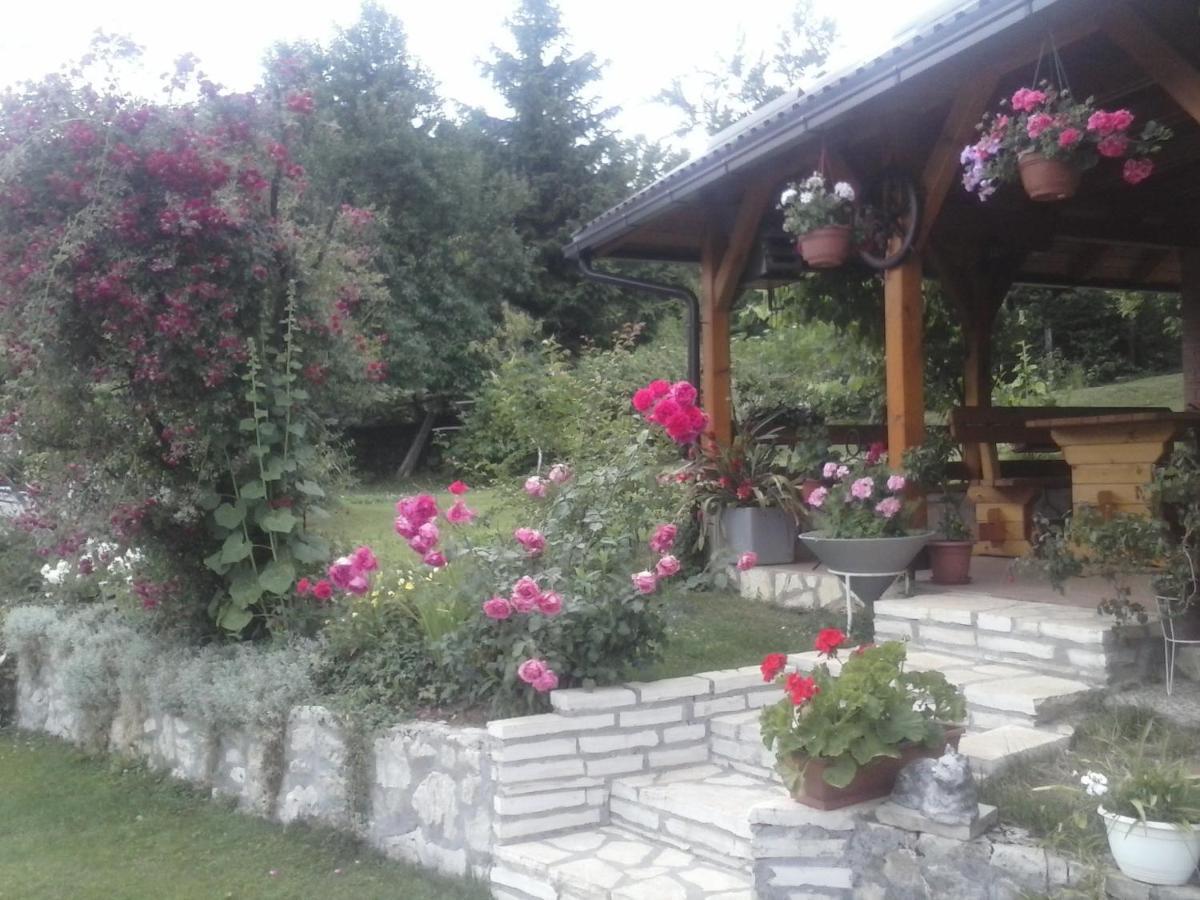 House Nina Apartment Полянак Екстериор снимка
